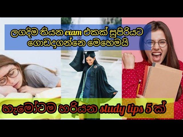 කවදාවත් වරදින්නෙ නැති study tips 5 ක් ||Uni Life #sinhala #study #tips