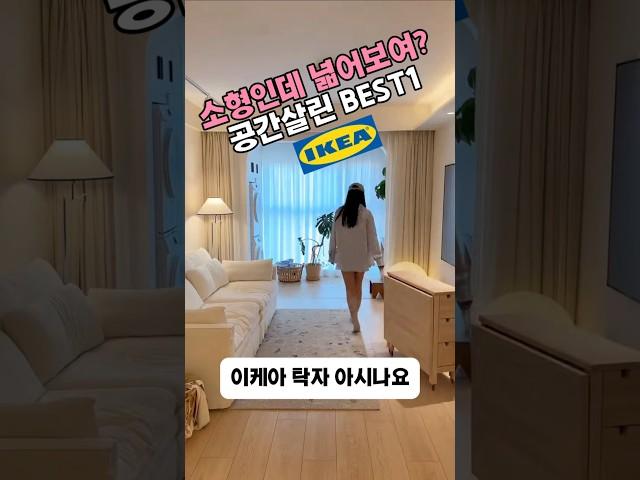 중형평수로 오해받은 이케아 꿀템