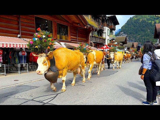 Lauterbrunnen Valley: Switzerland's most beautiful valley  4K Walk