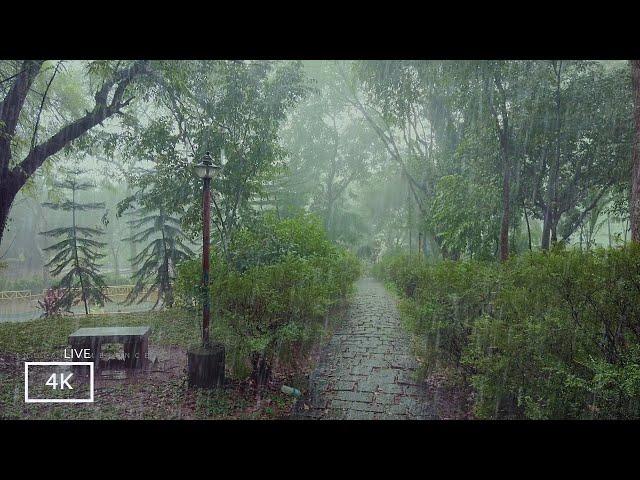 Rainy Day Walking Tour in the Park | Heavy Rain Sounds for Sleeping |Rain Walks Compilation