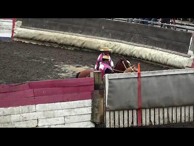 Serie 1 Libre Rodeo Arauco Provincial 3 Series  4-01-2024 cont