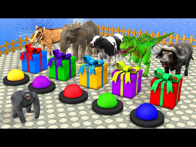 Choose The Right Gift Box Run Game With  Elephant Cow Gorilla Buffalo Pig Trex Wild Animals Games