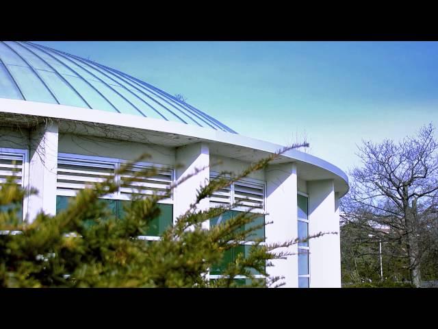 MSU College of Education Year in Review 2012