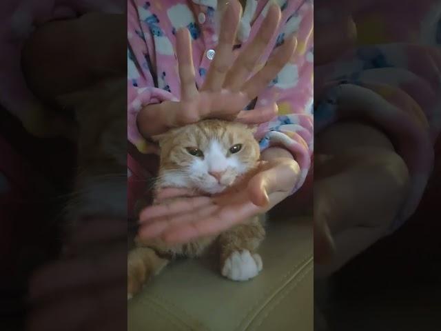꽃님이