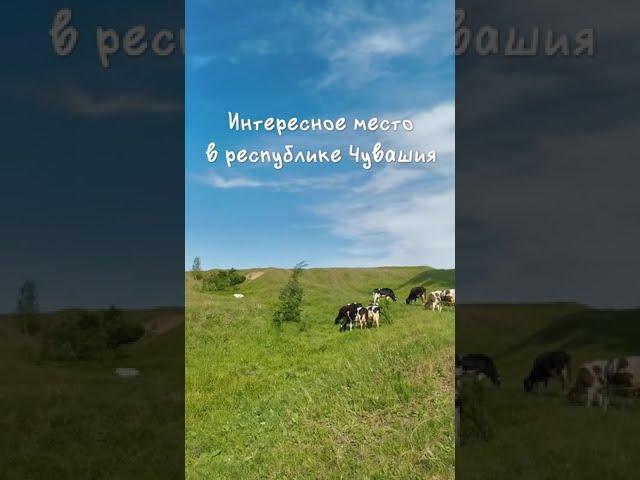 Интересное место в Республике Чувашия. Рекомендую сюда заехать!