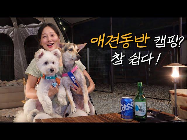 Solo Camping with abandoned dogs / Adopt, Don't Shop! / Braised Pork neck meat with Kimchi & Soju