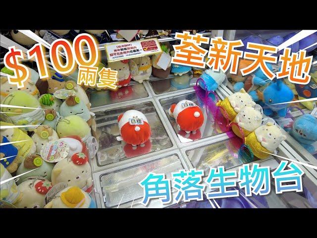 【夾乜秦公仔】荃新天地Namco角落生物台!! 沉默的師傅雙管齊下~100出晒兩隻!!! (香港夾公仔 台灣夾娃娃 UFOキャッチャー ）