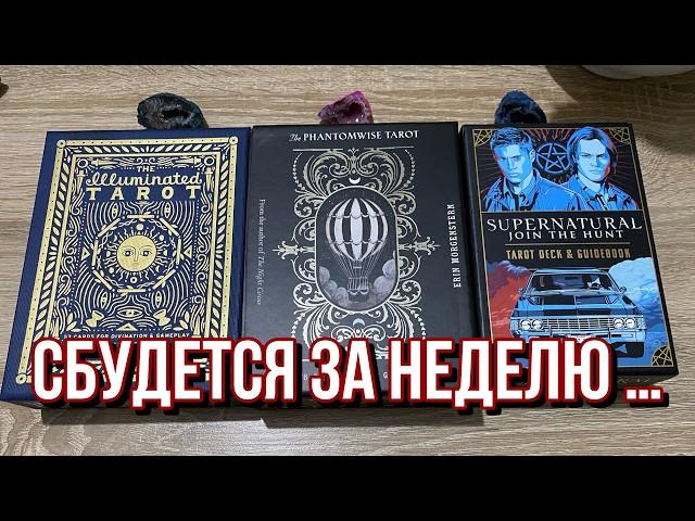  ВСЕ, ЧТО Я ВАМ СЕЙЧАС СКАЖУ, СБУДЕТСЯ ЗА НЕДЕЛЮ!  не пропустите  гадание на таро расклад