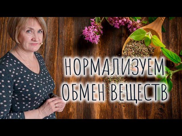 Нормализуем обмен веществ