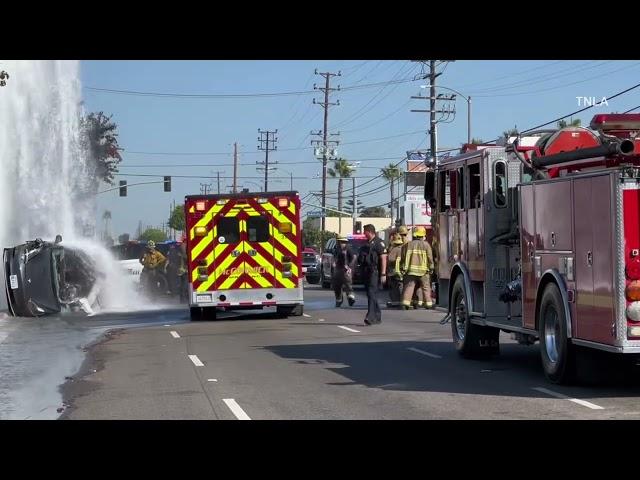 Inglewood Tesla Vs Hydrant