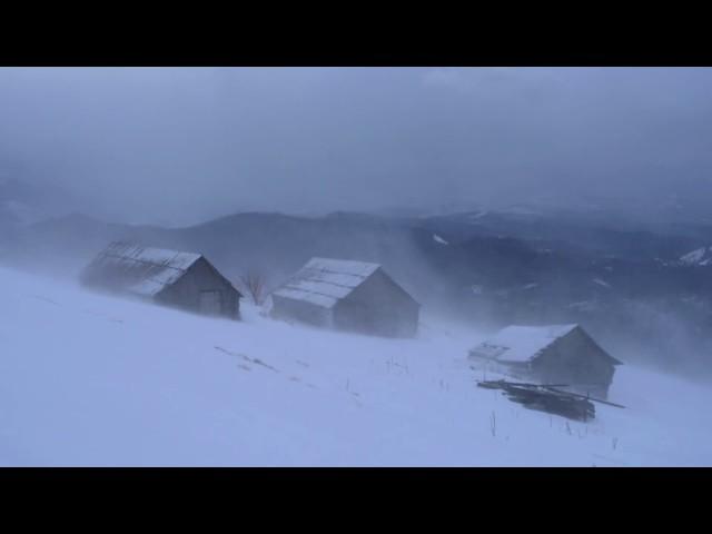  Winter Storm Ambience with Icy Howling Wind Sounds for Sleeping, Relaxing and Studying Background.