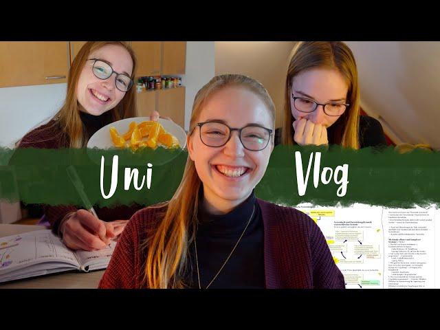 E-Learning erstellen & Psychologie-Zusammenfassungen I UNI VLOG