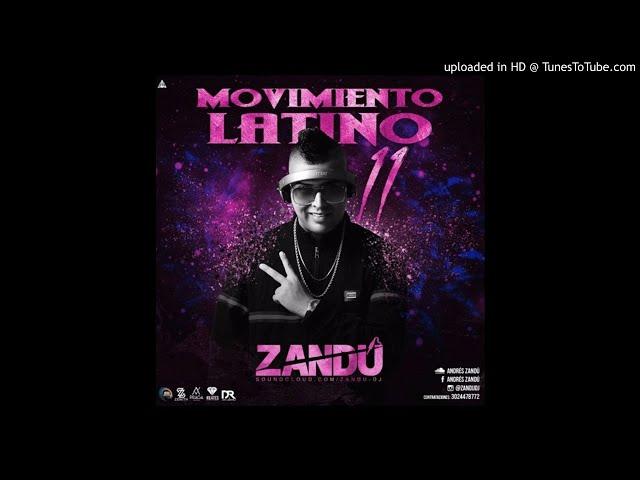 MOVIMIENTO LATINO 11 (ANDRES ZANDU)