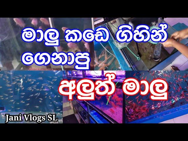 මාලු කඩෙ ගිහින් ගෙනාපු අලුත් මාලු - Malu Kade Gihin Genapu Aluth Malu - Jani Vlogs SL