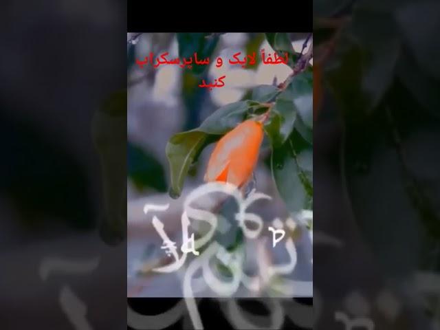 ۶ اکتبر ۲۰۲۴