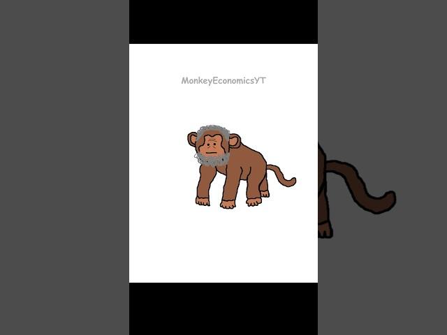 Monkey Economics Social Security