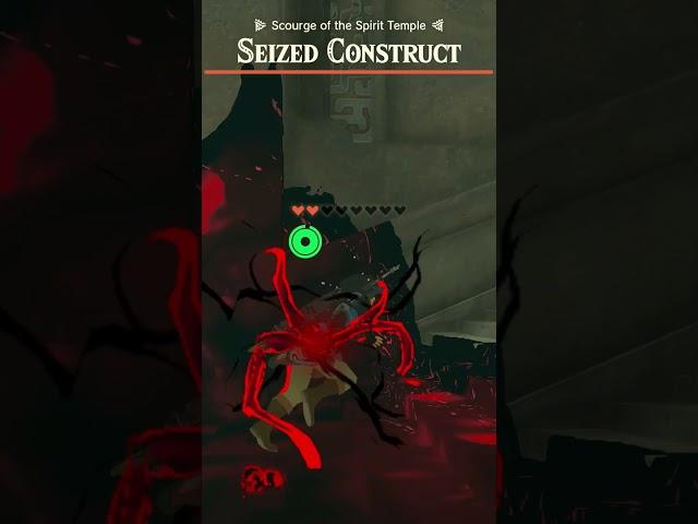 Guess You Can't Just Grab the Secret Stone and Go... #Zelda #TearsoftheKingdom