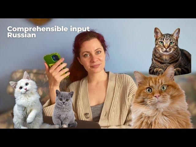 Learn Russian with CATS | Popular cats' names in Russian