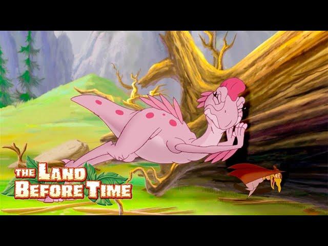 Dinosaurs Helping Out!  | The Land Before Time | 1 Hour of Full Episodes