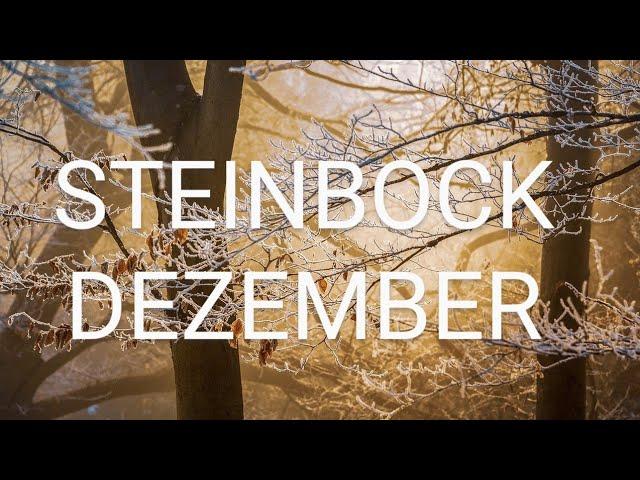 STEINBOCK ️ DEZEMBER LEBE LEICHT UND SPIELERISCH  DU BIST NICHT ALLEINE ️