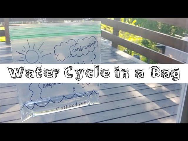 Simple & Easy Hands-on Science | Water Cycle in a Bag