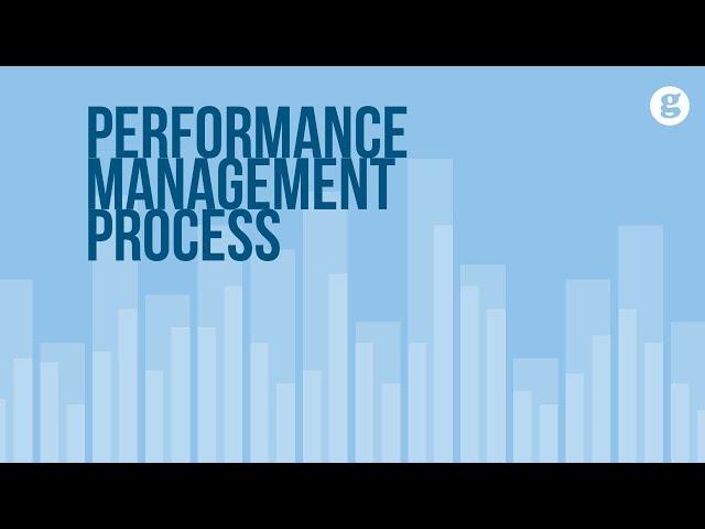 Performance Management Process