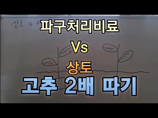 2배수확하기#안보시면  정말후회하는 정보