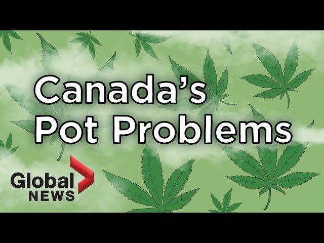 Why are some Canadian cannabis companies struggling?