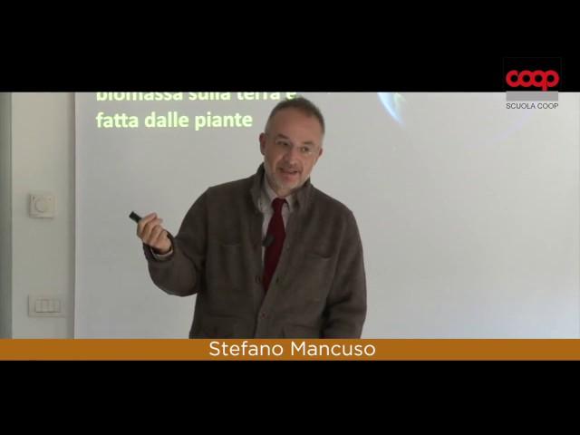 L'organizzazione vista dalle piante - Stefano Mancuso