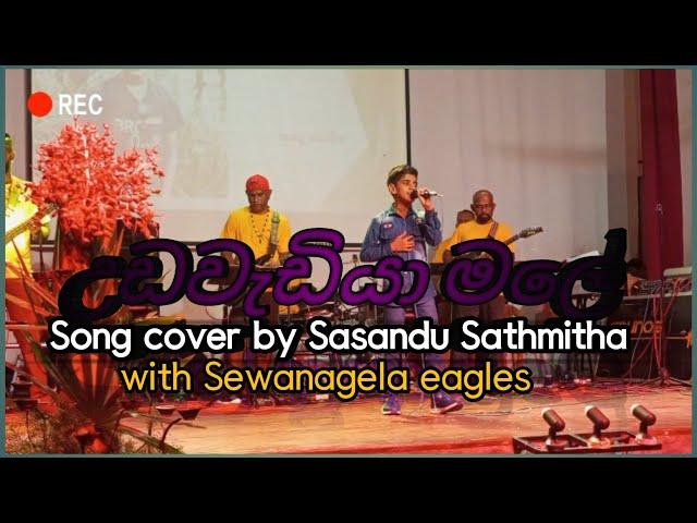 Udawadiya male ( උඩවැඩියා මලේ ) Song cover by Sasandu Sathmitha with Sewanagala eagles