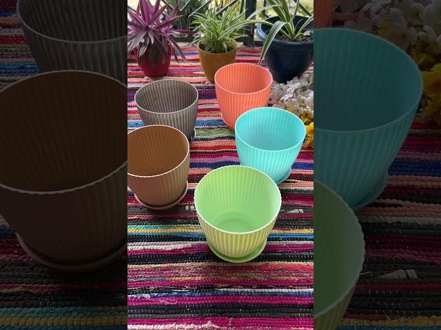 Mwesho Home Finds | Flower Pot | Combo | Pack of 6 | Garden Finds #shorts #yt #homedecor