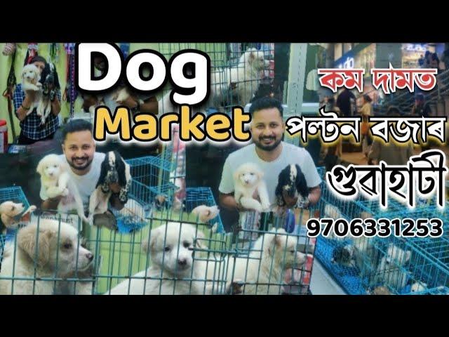 dog market in guwahati | কম দামত পাব home breed | pets wholesale market in guwahati |