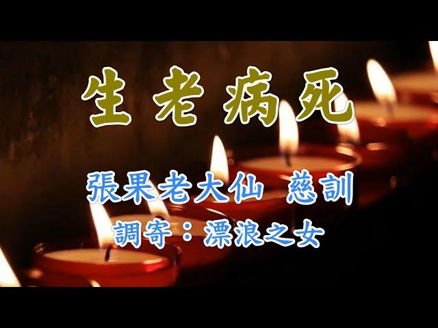 台語善歌-生老病死（漂浪之女）