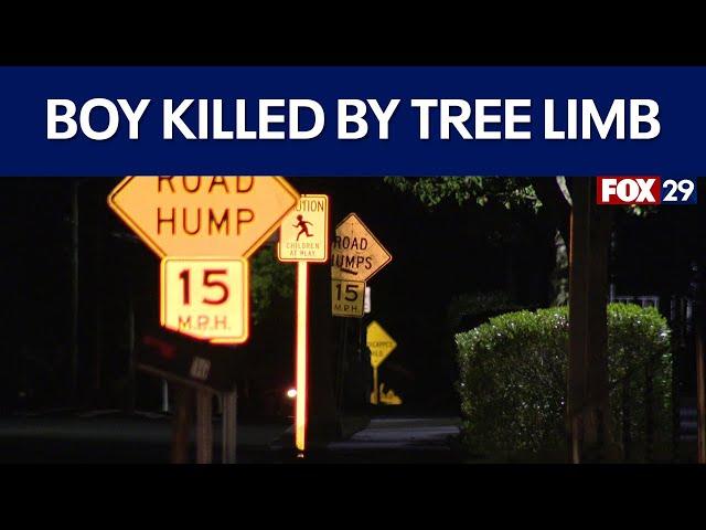 12-year-old boy killed by falling tree limb in New Jersey