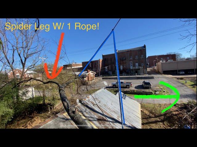 Useful Tree Work Technique to Remove Branches Over Roof!