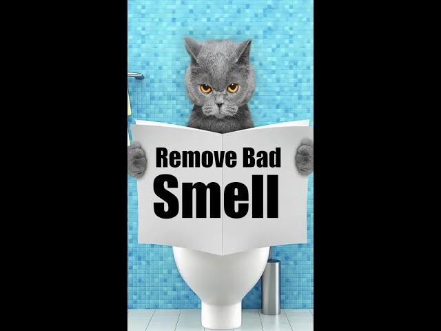 Remove Cat Urine Smell From Floors #shorts