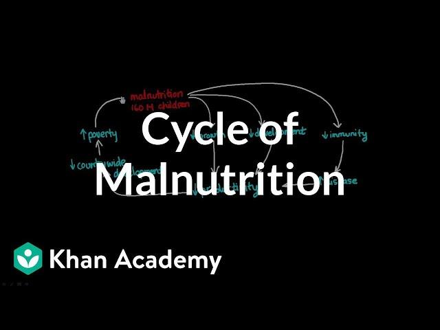 Cycle of Malnutrition