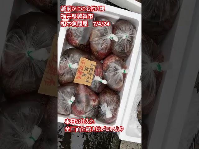 #Super cheap #Fish shop #Market walk #Aiki Fish Wholesaler 2025/4/24 market #Recommended #Please ...