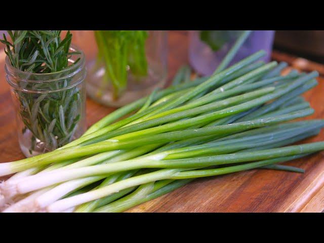 How to Keep Scallions Fresh for a Month in the Fridge