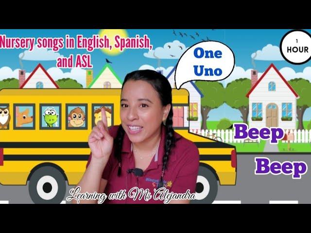 Learn Songs, colors, count and more in English, Spanish and ASL with Ms. Alejandra