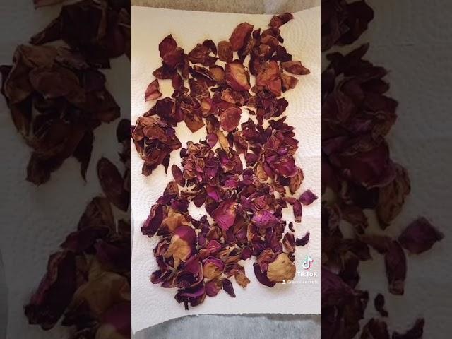 Drying out roses for spells & rituals ‍️#witch #roses #witchy #spells #rituals