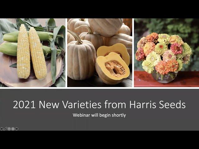 New Flower and Vegetable Seed Varieties from Harris Seeds (2021)