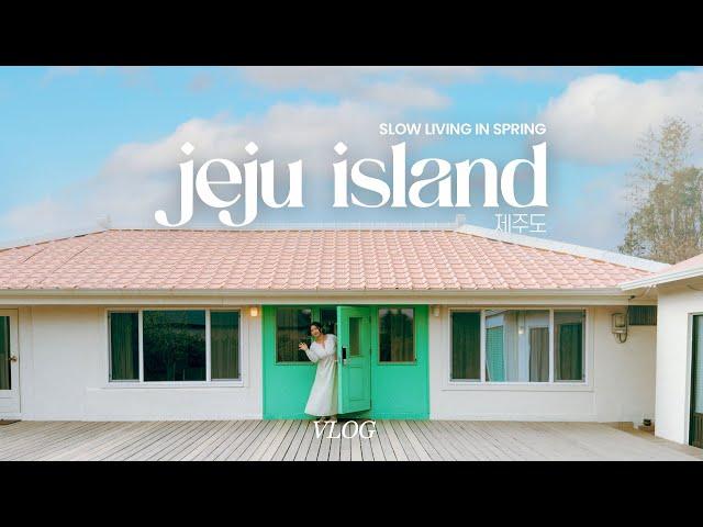 one week spring trip to jeju island (and a day trip to gapado island)