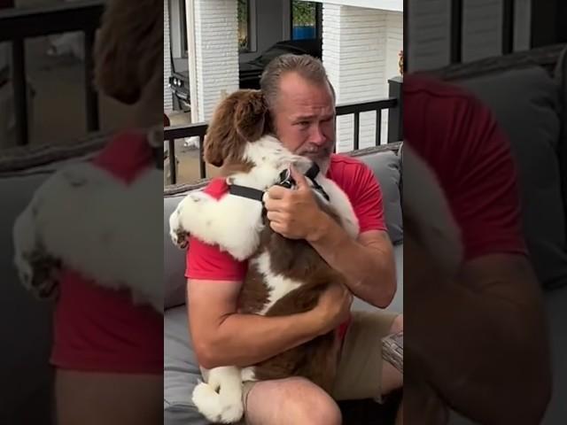 Dad breaks down into tears after family surprises him with new puppy ️