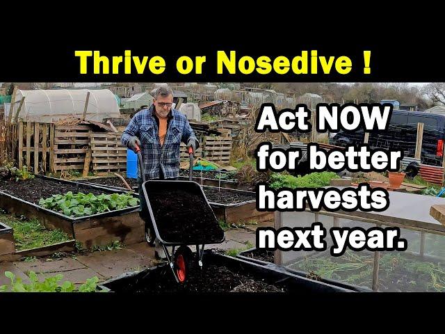 Thrive or Nosedive | Best Harvests 2022 | Act now | The Secret | Green Side Up