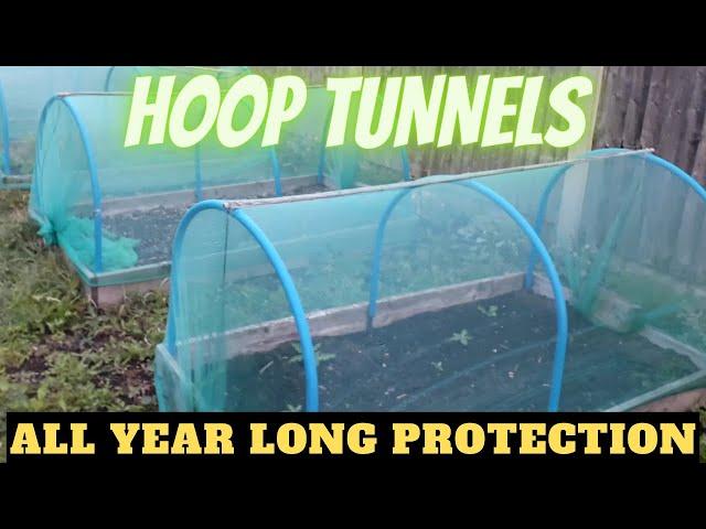 Build A Hoop Tunnel [Gardening Allotment UK] [Grow Vegetables At Home ]