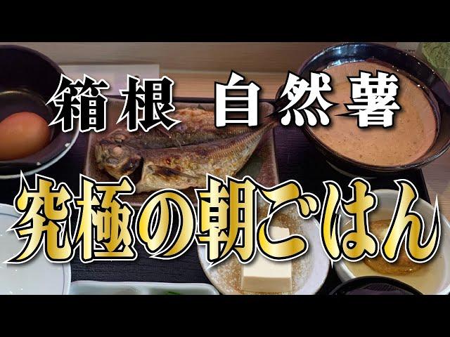 【自然薯農家レストラン 山薬】究極の朝ご飯【箱根 強羅】横浜朝めしチャンネル【箱根 自然薯 究極の朝ごはん】