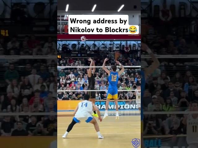 Nikolov give wrong address to Blockers#sports #sport #volleyball #spike #setter #volleyballworld