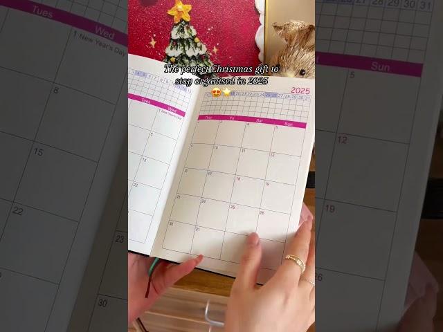 Perfect Planner Notebook for 2025! Ideal Christmas Gift for Kids #christmas