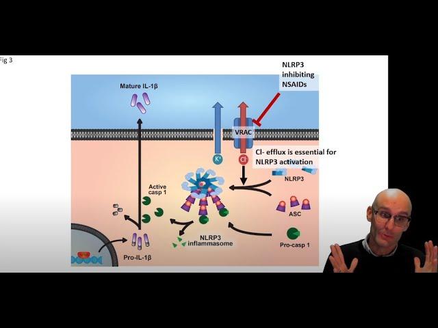 Paper breakdown: Could NLRP3 inhibitors be therapeutic in Alzheimer's disease? (2)